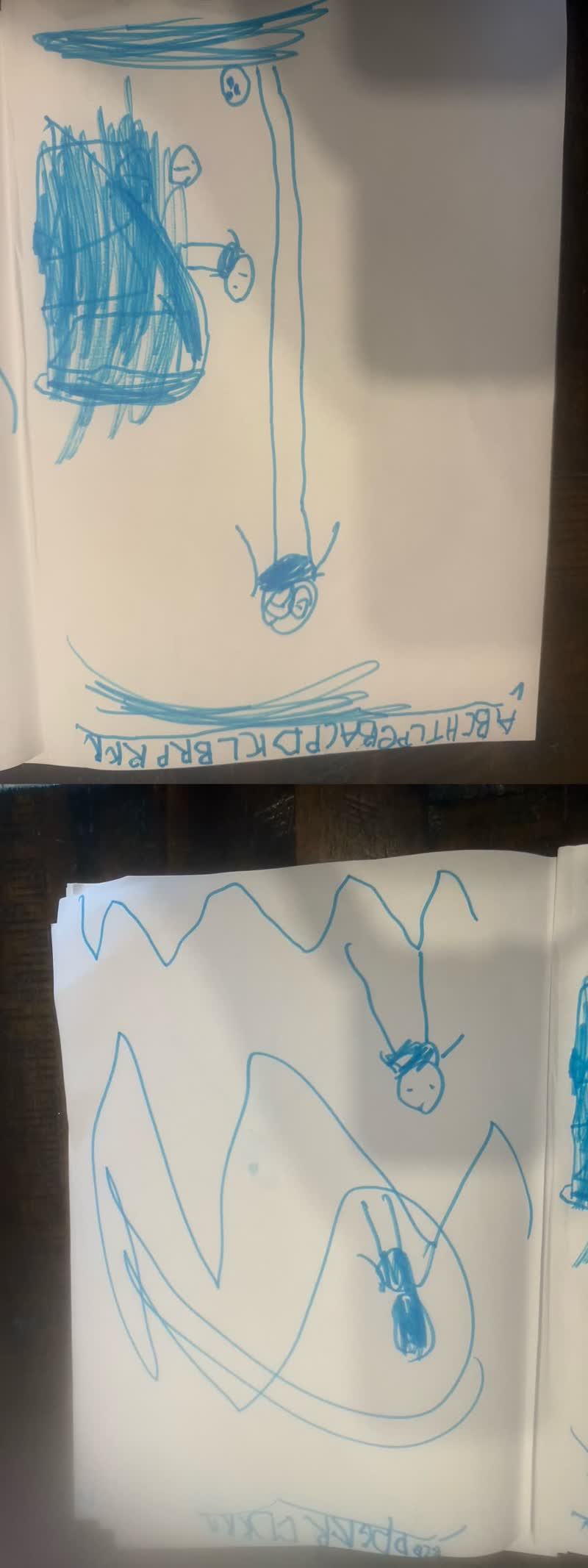 The Blue Adventure — the original drawing
